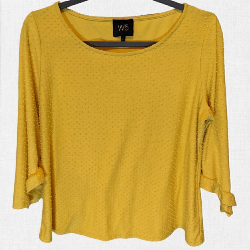 Anthropologie W5 Concepts Long Flared Sleeve Top